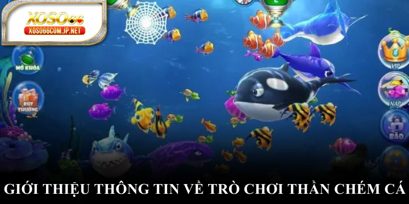 Giới thiệu thông tin về trò chơi thần chém cá Giới thiệu thông tin về trò chơi thần chém cá