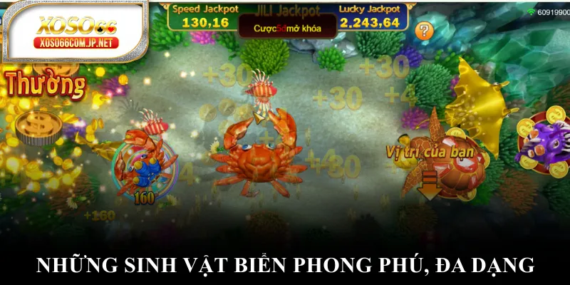 Những sinh vật biển phong phú, đa dạng Những sinh vật biển phong phú, đa dạng